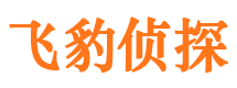 长沙市私家侦探